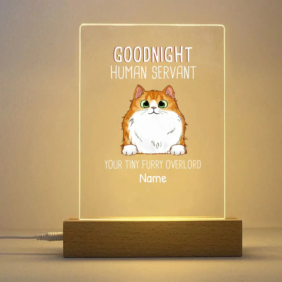 Goodnight Human Servant Cat Personalized Rectangle Acrylic Plaque LED Light