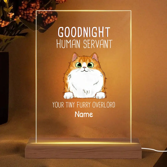 Goodnight Human Servant Cat Personalized Rectangle Acrylic Plaque LED Light